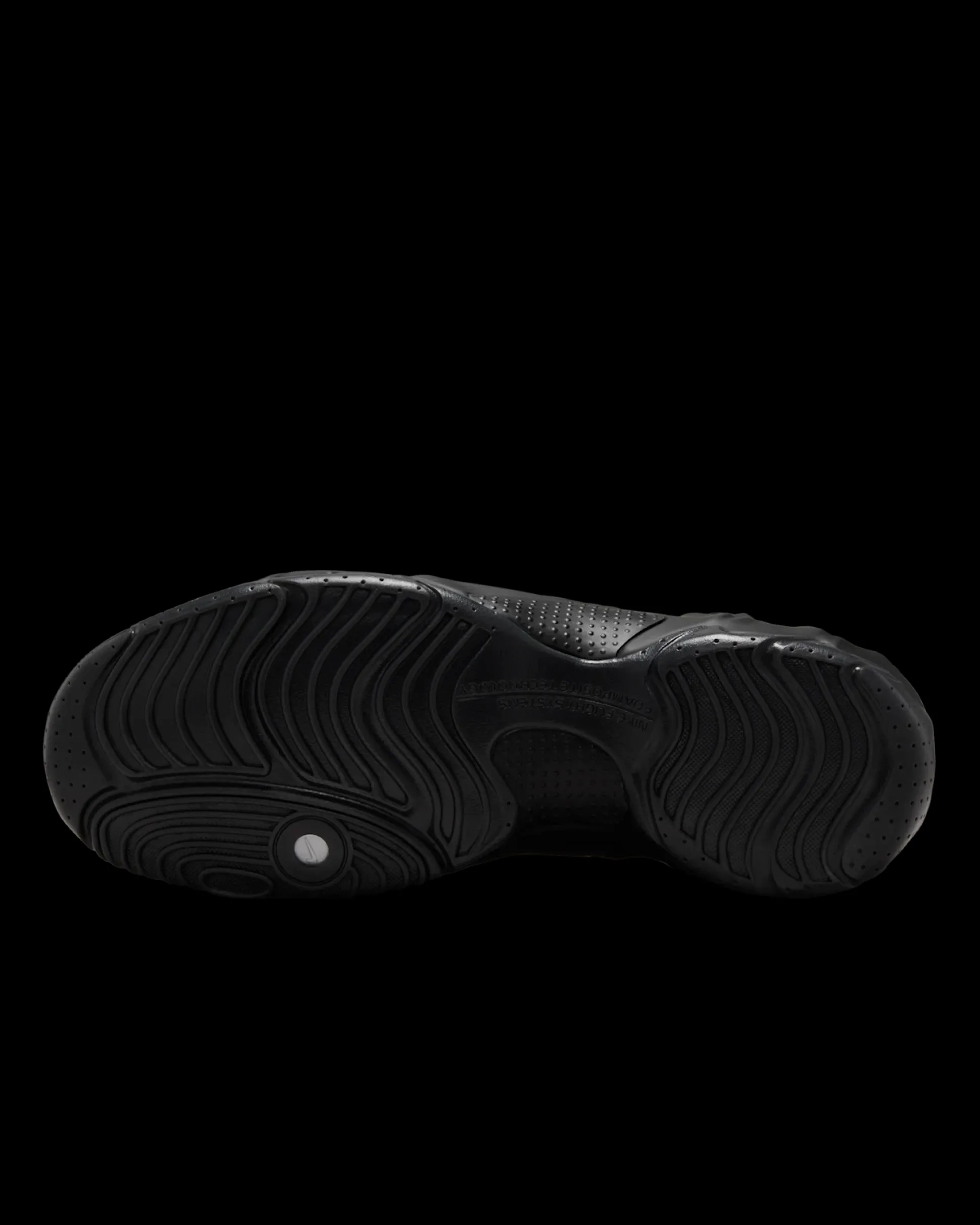 Air Flightposite Triple Black