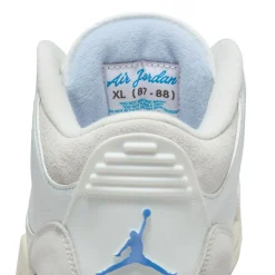 Air Jordan 3 Retro Lucky Short