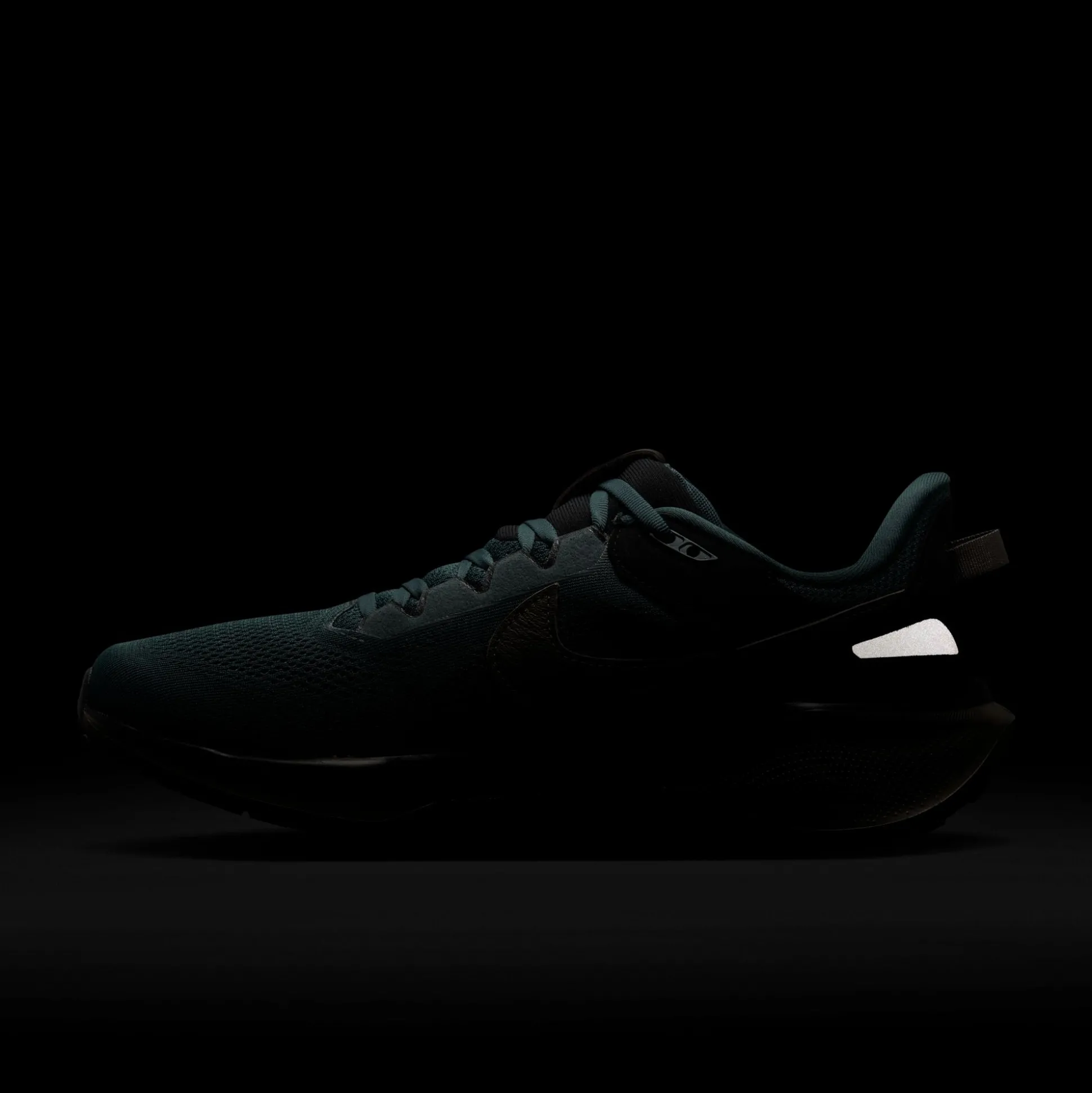 Air Zoom Pegasus 41 SP Faded Spruce