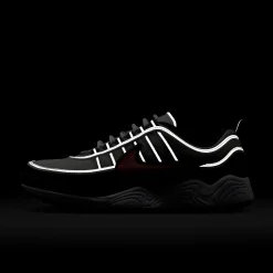 Air Zoom Spiridon Grey