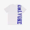Distressed T-shirt