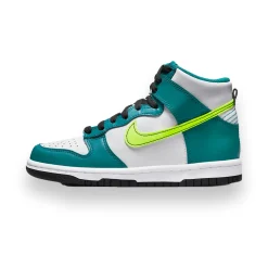 Dunk High GS