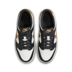 Dunk Low GS