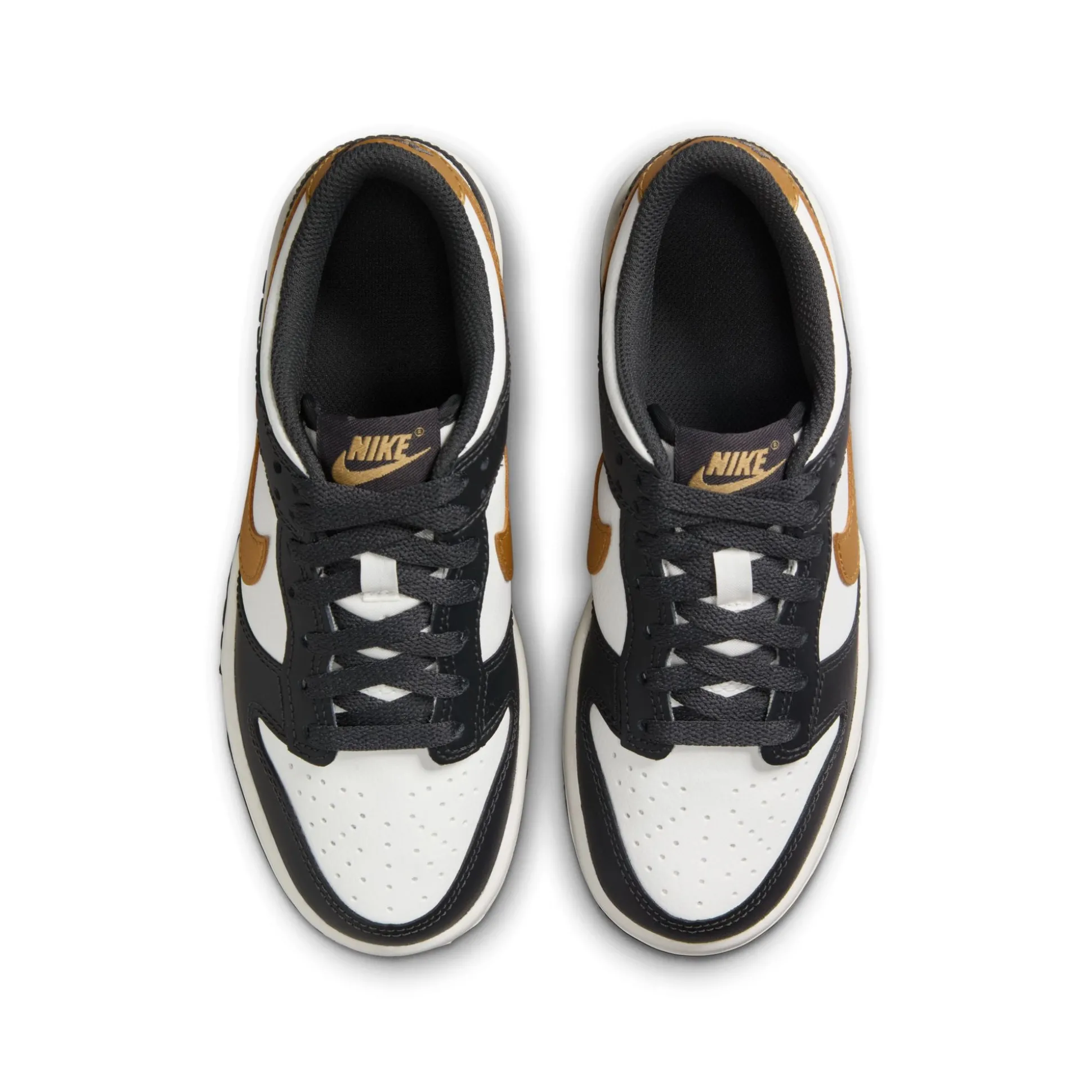 Dunk Low GS