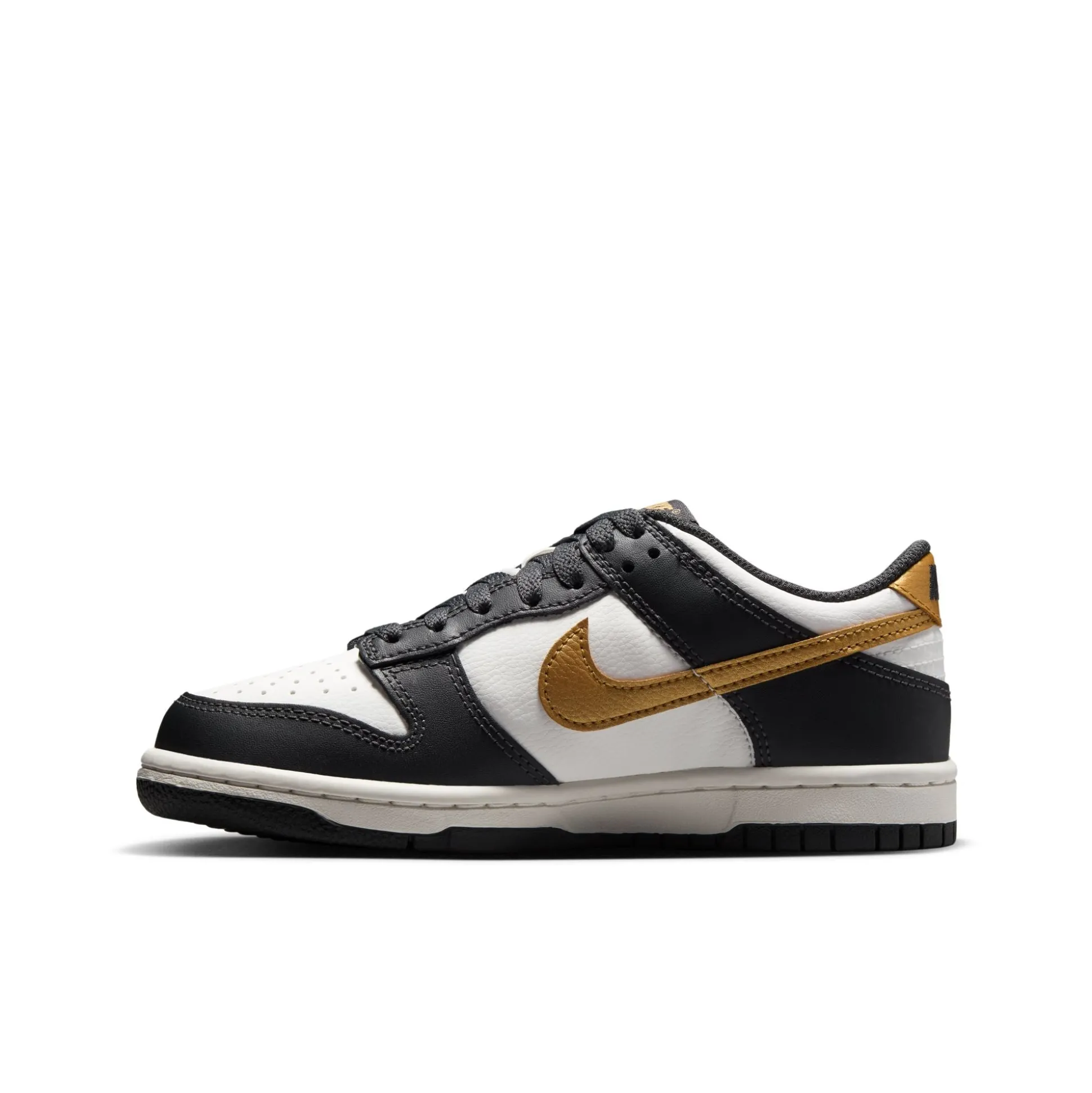Dunk Low GS
