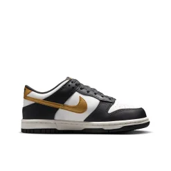 Dunk Low GS