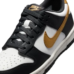 Dunk Low GS