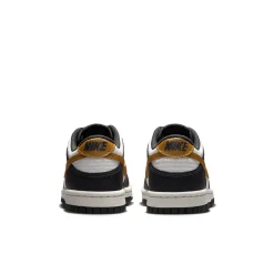 Dunk Low GS