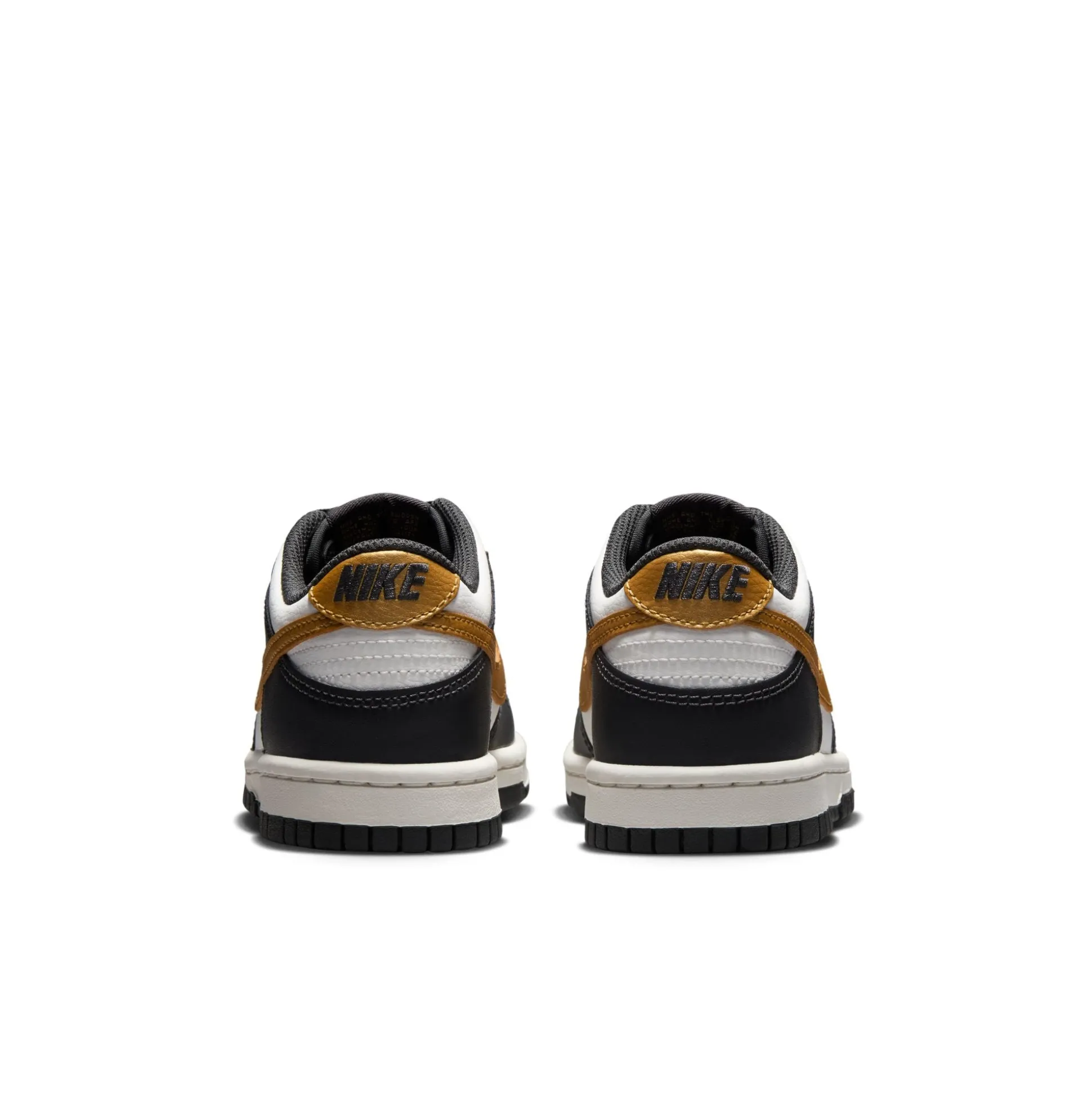 Dunk Low GS