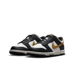 Dunk Low GS
