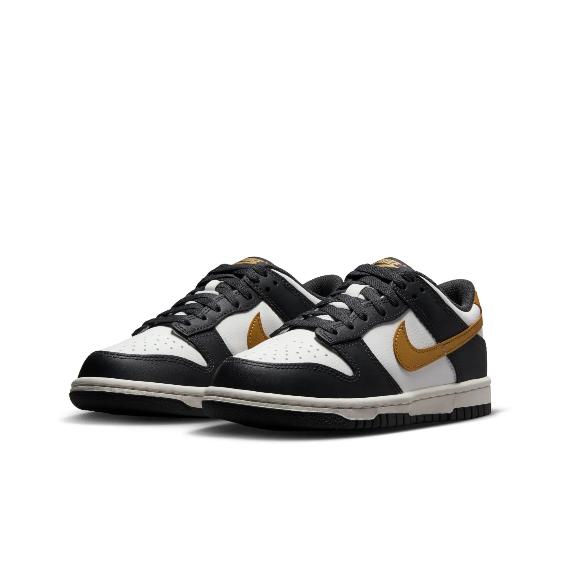 Dunk Low GS