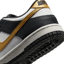 Dunk Low GS