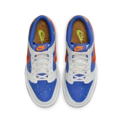 Dunk Low Paint Splatter GS