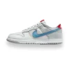 Dunk Low Silver Surfer