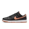 DV0831-004-Men Dunk Low Retro
