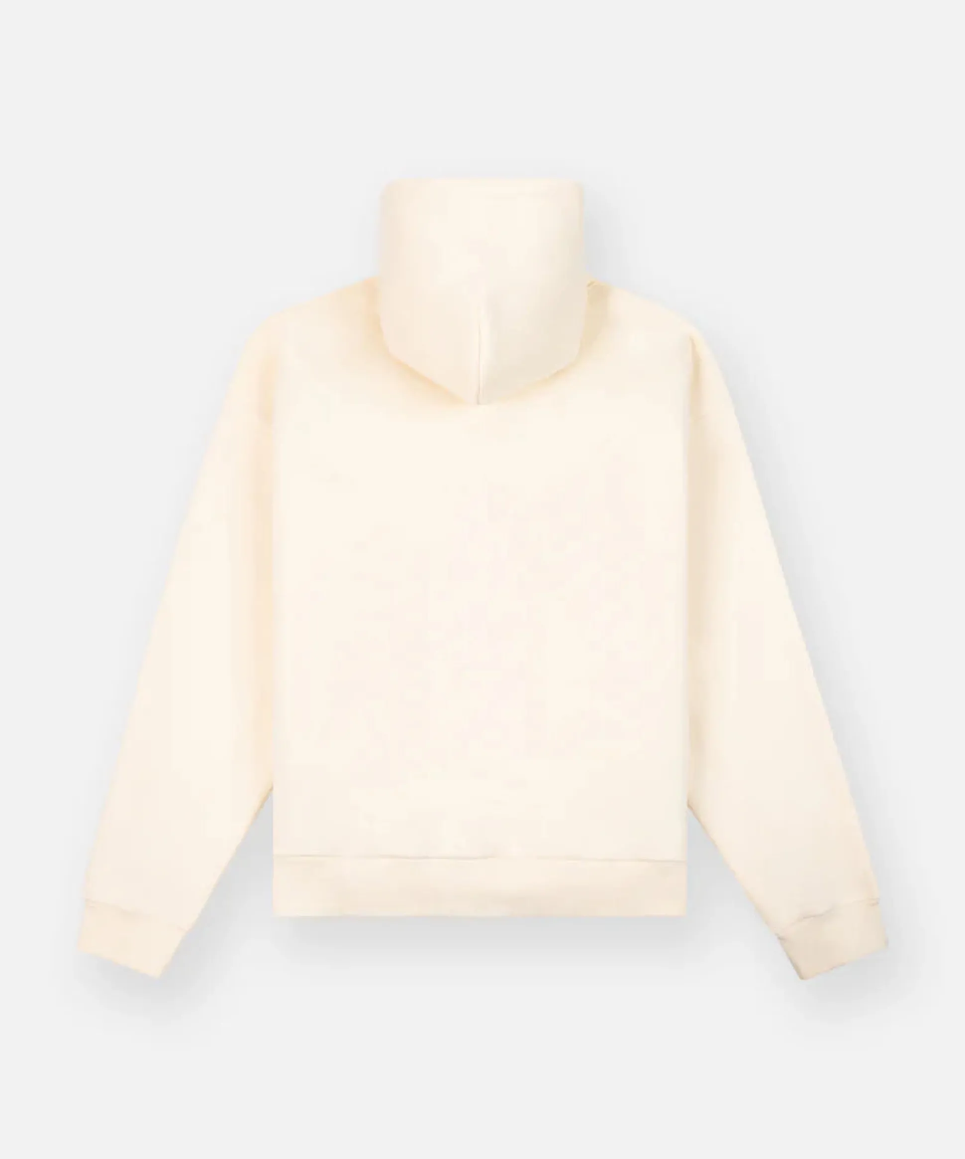 300385-EGGSHELL-Men The Journey Hoodie