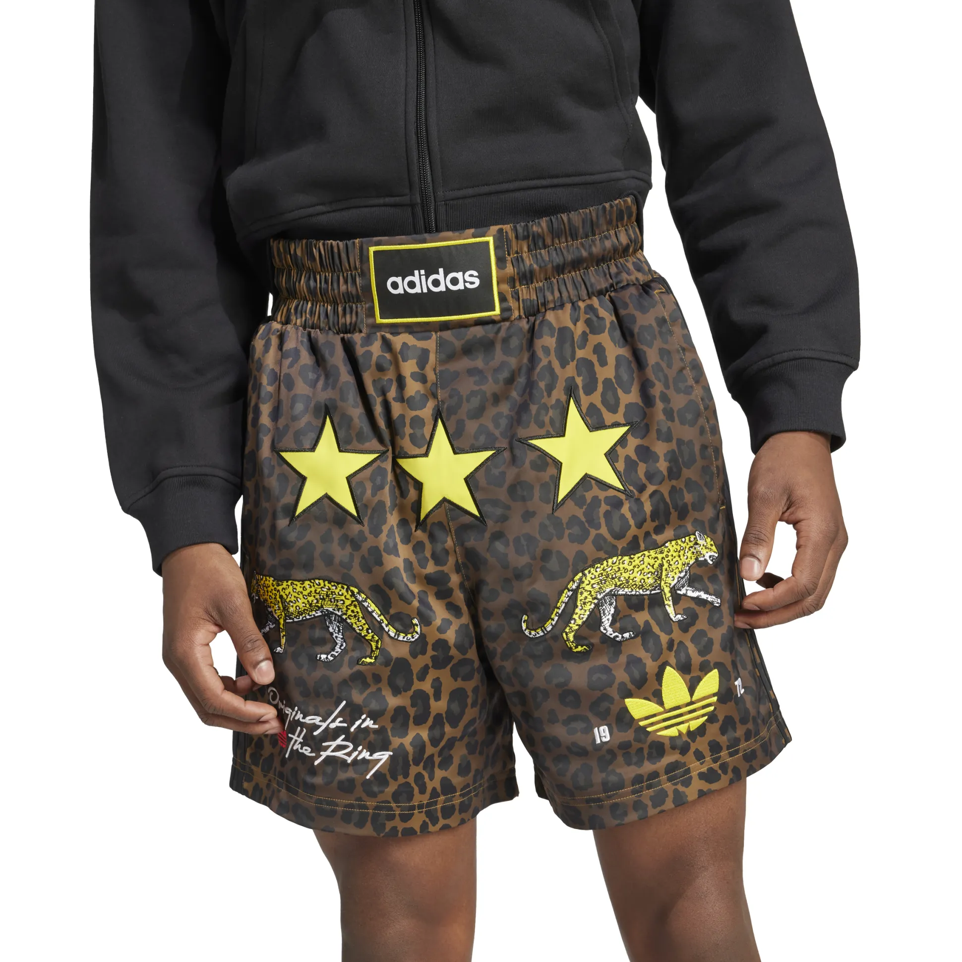 Graphic Box Short Brown
