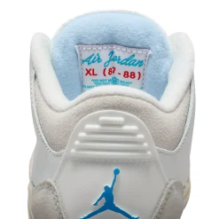 Jordan 3 Retro Lucky Shorts GS