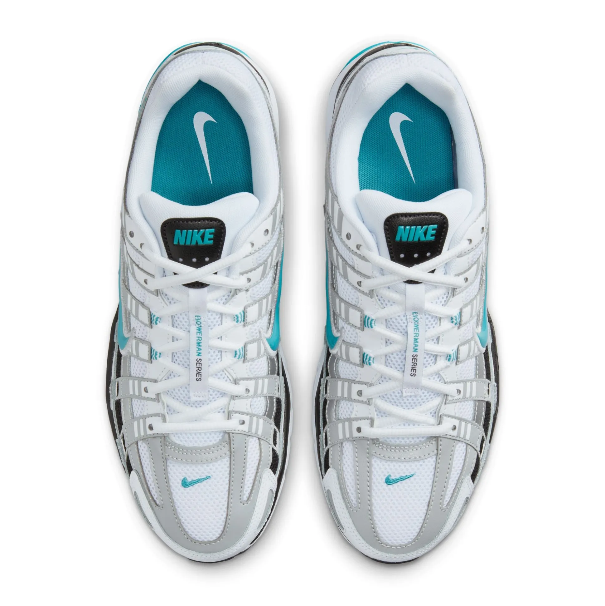 P-6000 Dusty Cactus