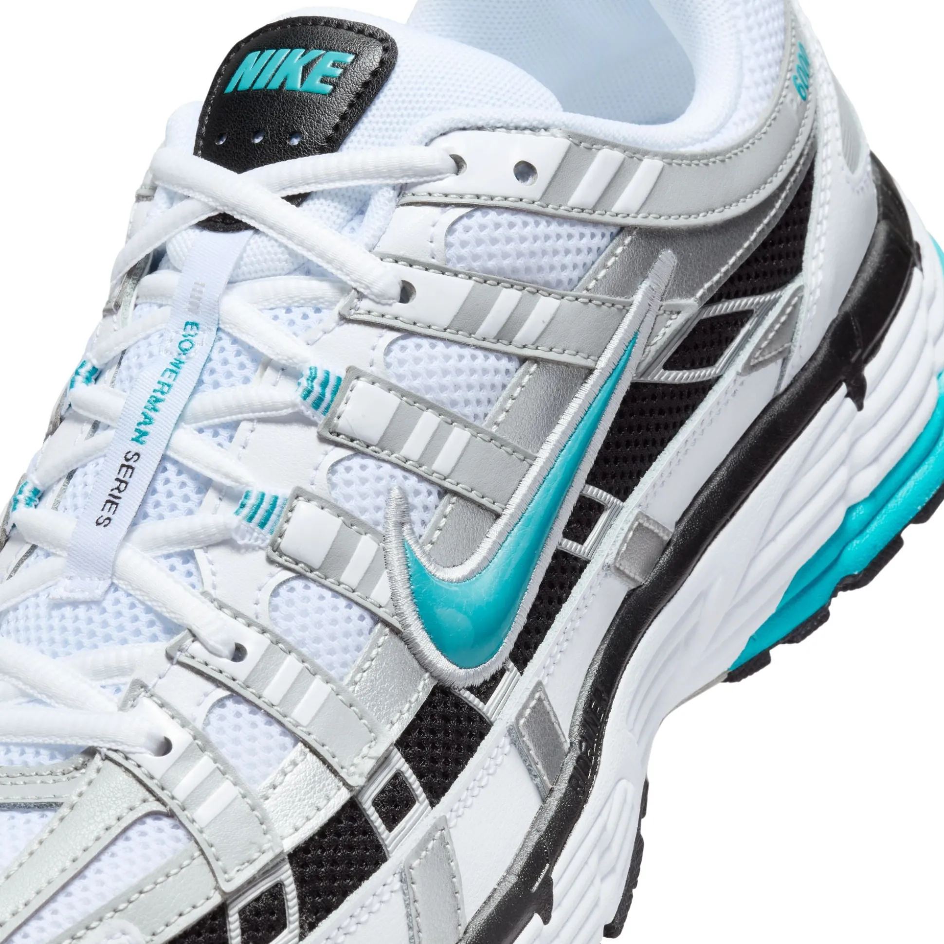 P-6000 Dusty Cactus