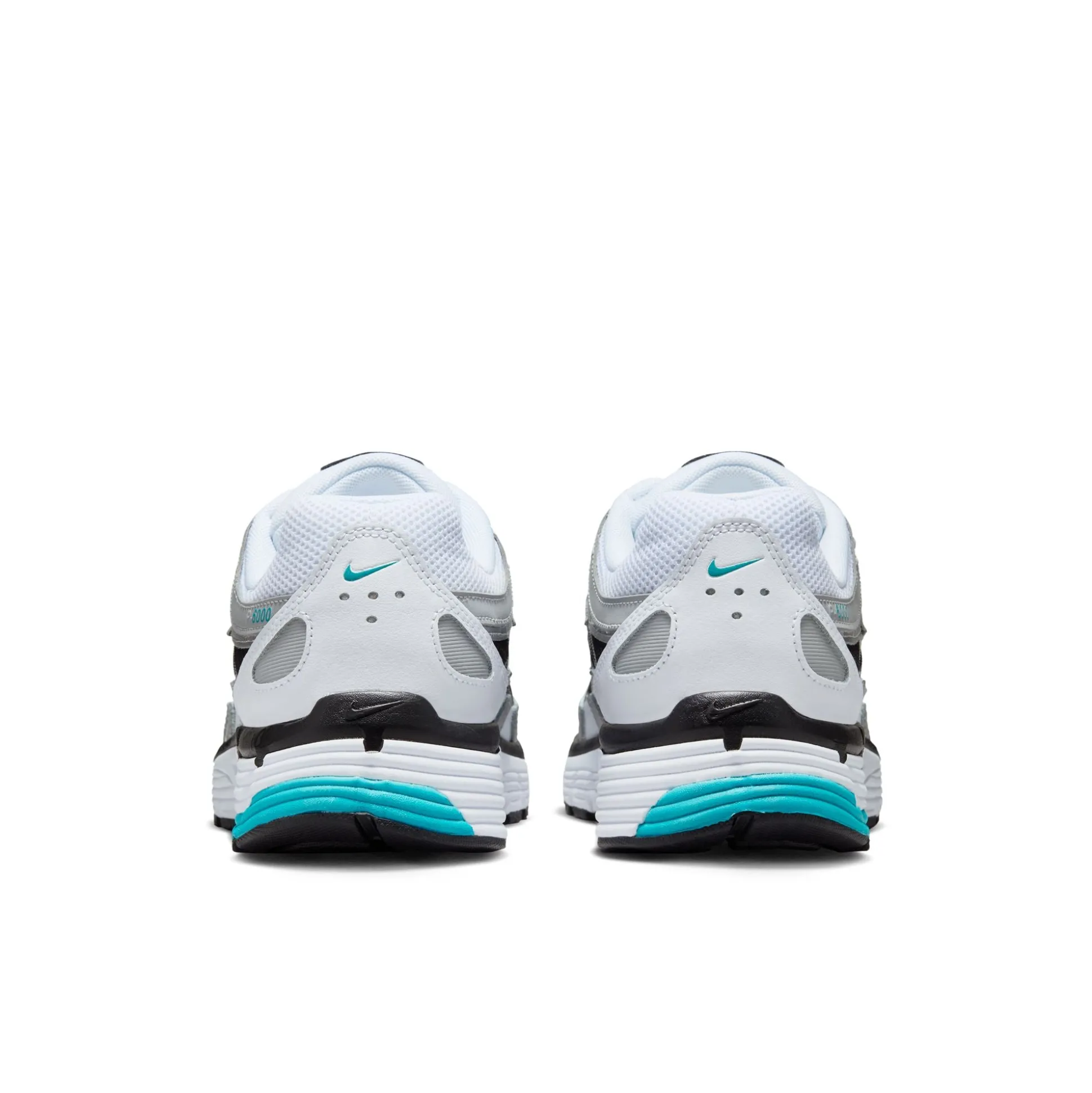 P-6000 Dusty Cactus