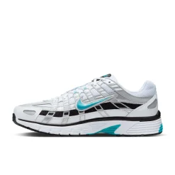 P-6000 Dusty Cactus