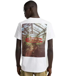 Photo Print T-Shirt