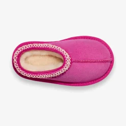 Tasman II Slipper Rock Rose TD